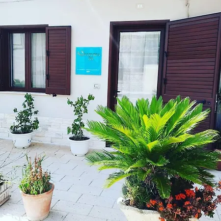 Sulfurea *** 3* Comitini